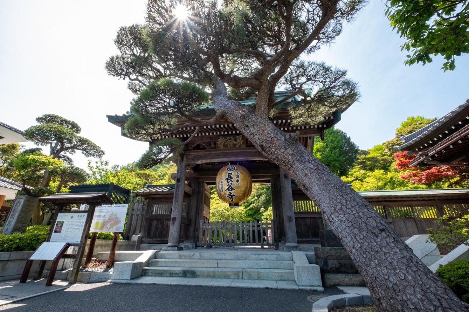 Japanese Modern Inn 鎌倉楽庵ハナレ Καμακούρα Εξωτερικό φωτογραφία